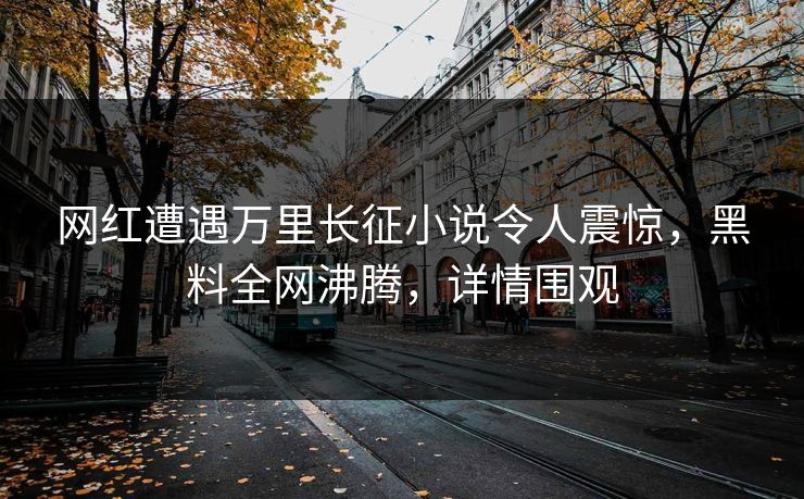 网红遭遇万里长征小说令人震惊，黑料全网沸腾，详情围观